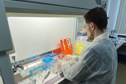 ТАСС: В Петербурге открыли лабораторию по созданию молекулярных машин
