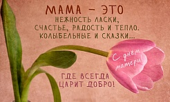 В России празднуется День матери! 